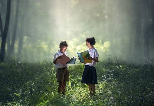 Pourquoi la classe de découverte de la nature est une expérience inoubliable pour les enfants ?