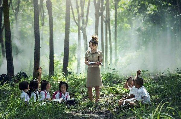 Éducation alternative: Pourquoi ça peut être la meilleure option pour votre enfant